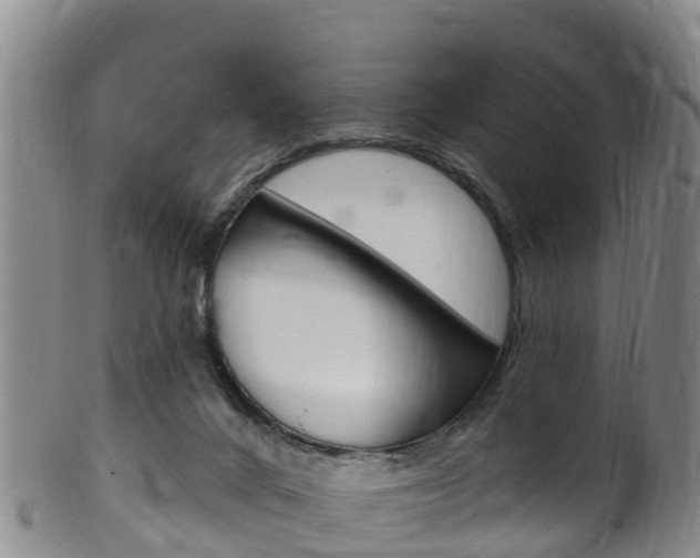 X0000102530024200808081103