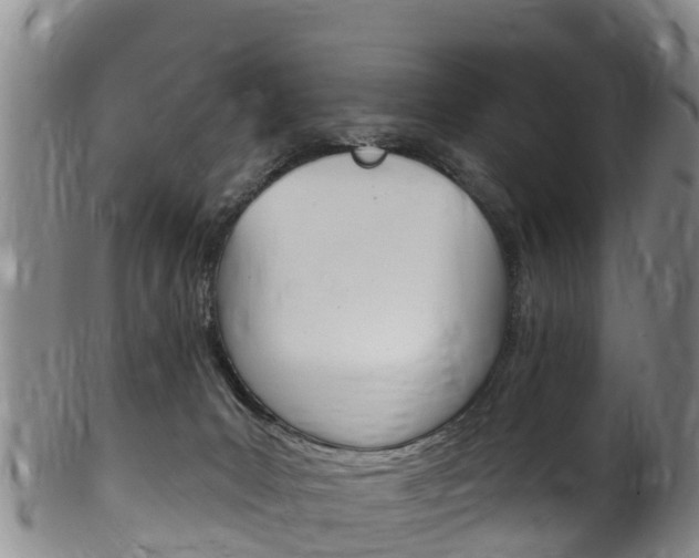 X0000102530031200808081103