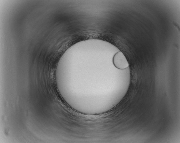 X0000102530034200808081103