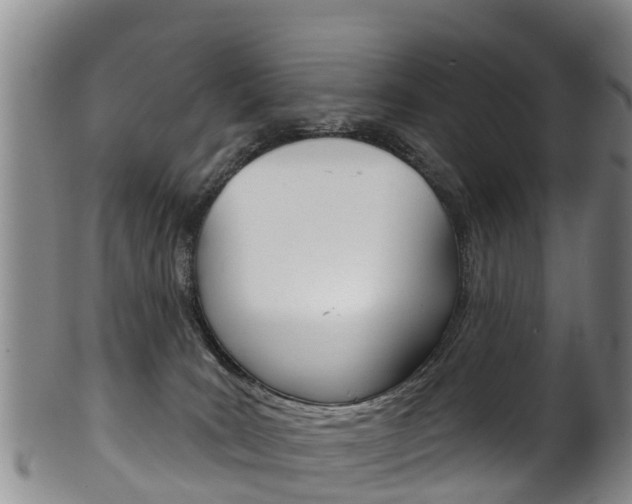 X0000102530035200808081103
