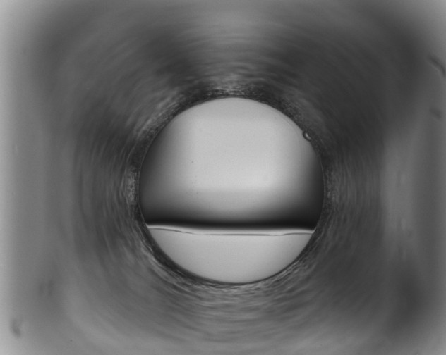 X0000102530036200808081103