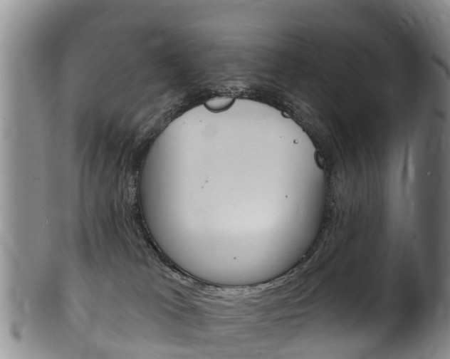 X0000102530037200808081103