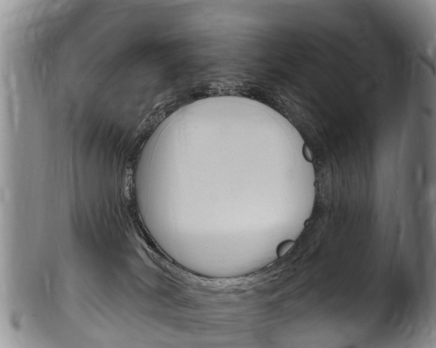 X0000102530038200808081103