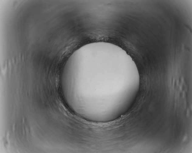 X0000102530039200808081103