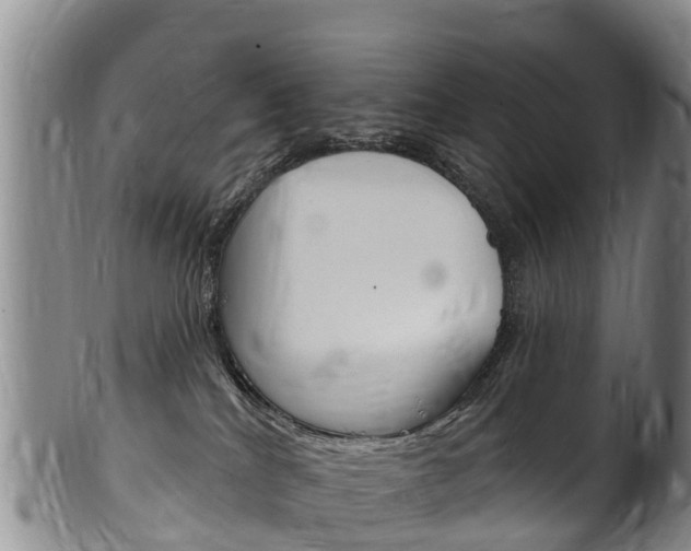 X0000102530040200808081103
