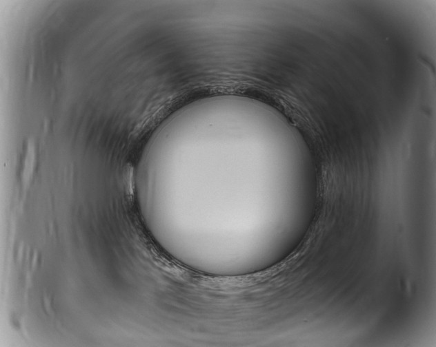 X0000102530041200808081103