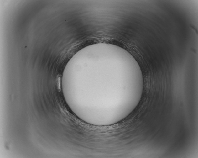 X0000102530042200808081103