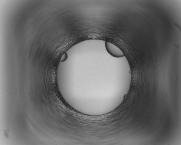 X0000102530043200808081103