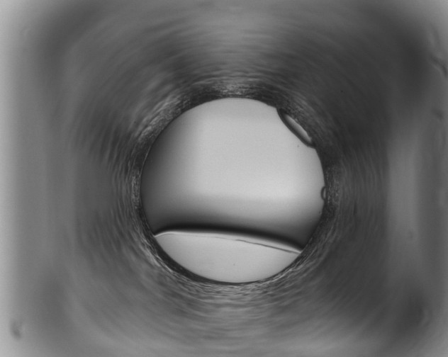 X0000102530044200808081103
