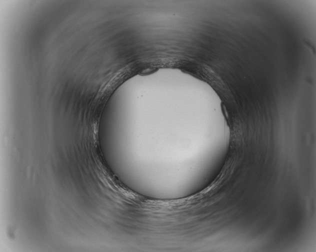 X0000102530045200808081103