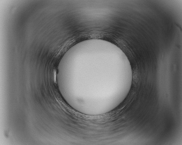 X0000102530046200808081103