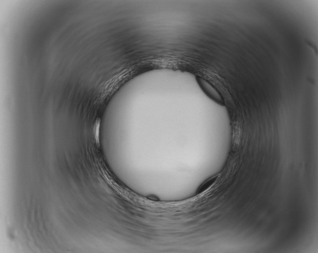 X0000102530047200808081103