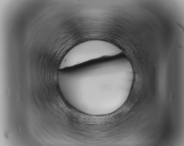 X0000102530048200808081103