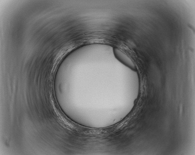 X0000102530049200808081102