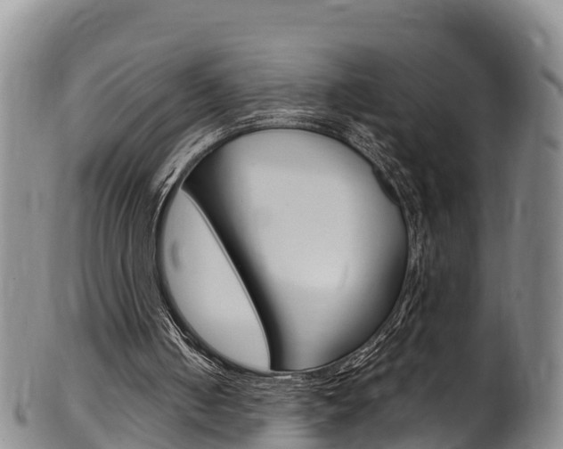 X0000102530050200808081102