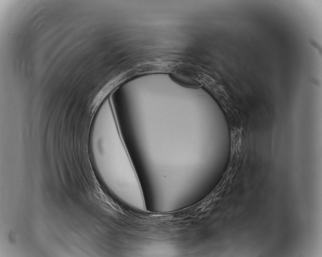 X0000102530051200808081102