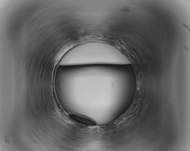 X0000102530052200808081102
