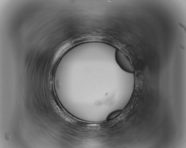 X0000102530053200808081102