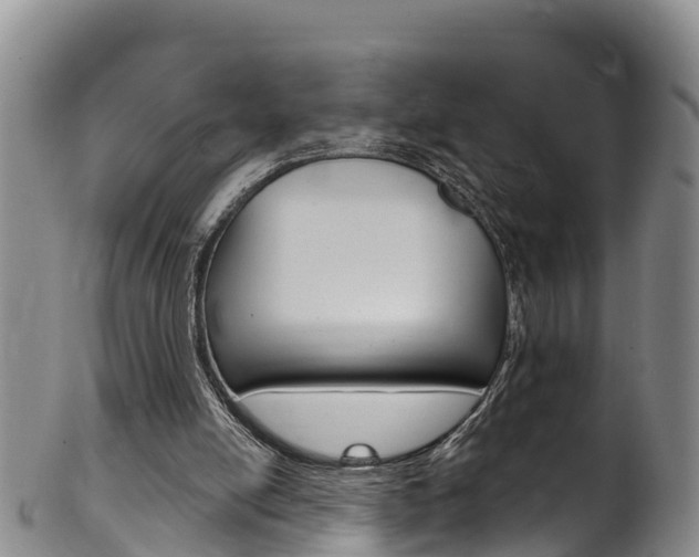 X0000102530054200808081102