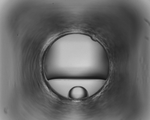 X0000102530055200808081102