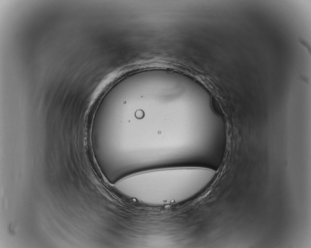 X0000102530056200808081102