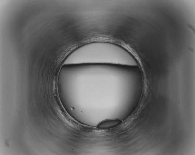 X0000102530057200808081102