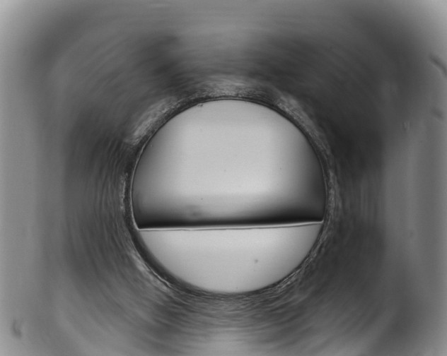 X0000102530058200808081102