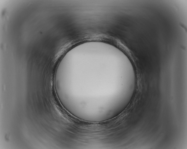 X0000102530059200808081102