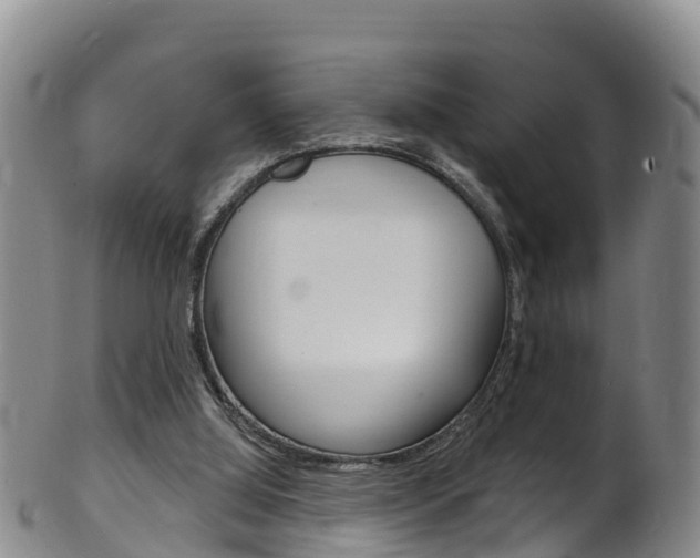 X0000102530060200808081102