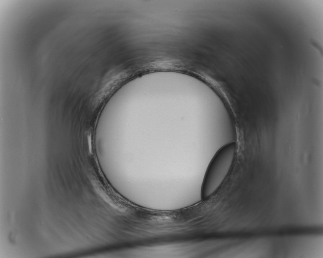 X0000102530061200808081102