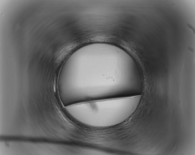X0000102530062200808081102