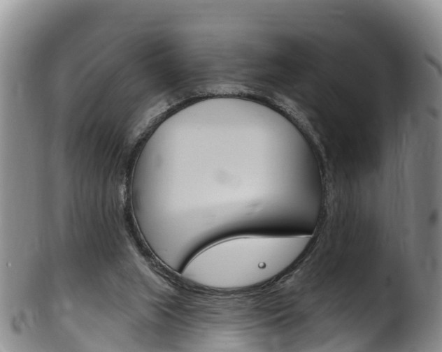 X0000102530063200808081102