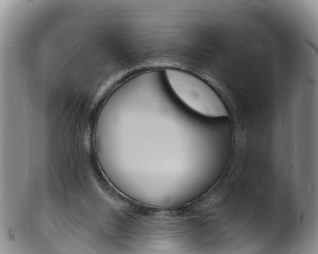 X0000102530064200808081102