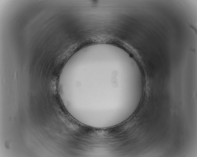 X0000102530065200808081102