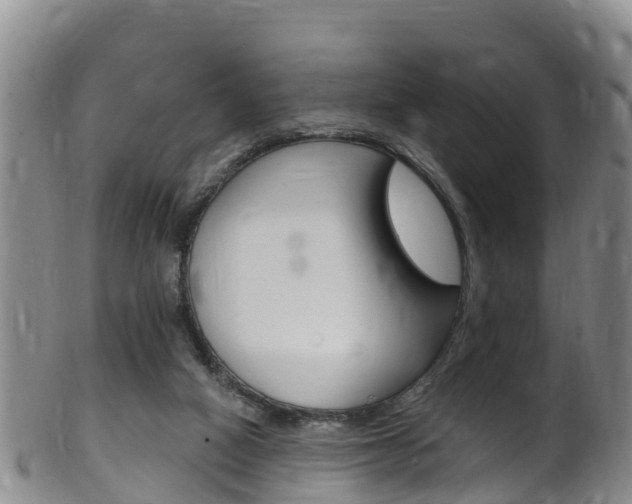 X0000102530066200808081102