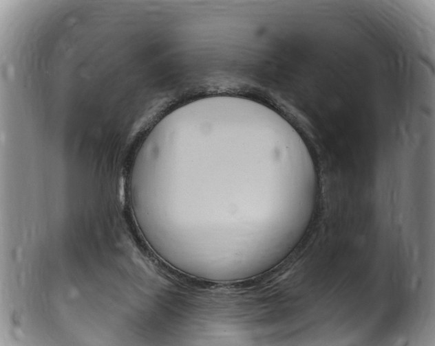 X0000102530067200808081102