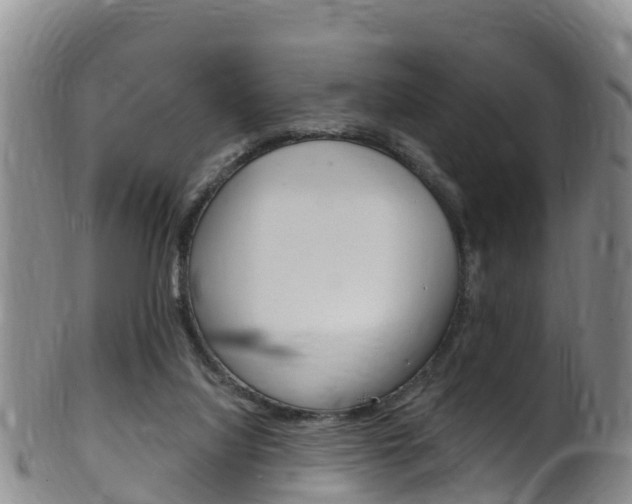 X0000102530068200808081102