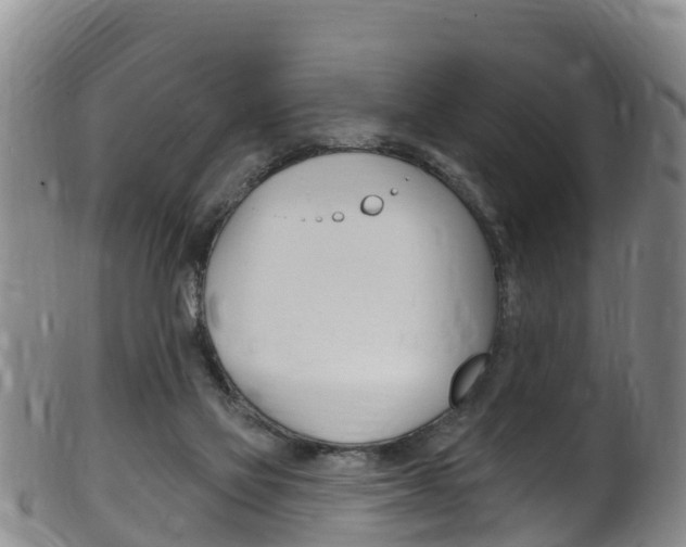 X0000102530069200808081102