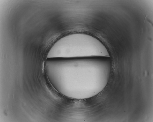 X0000102530070200808081102