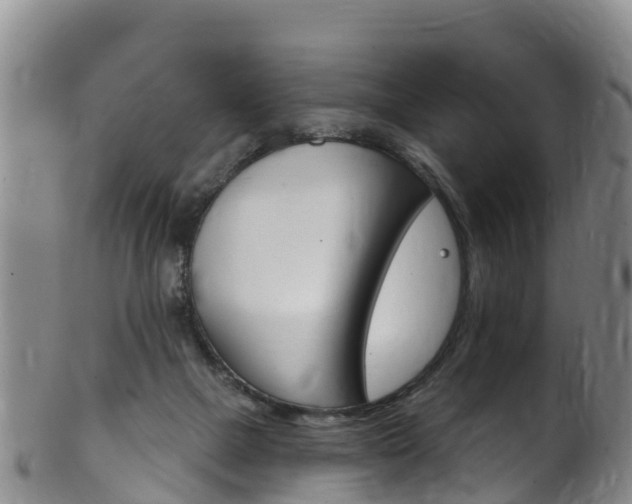 X0000102530073200808081102