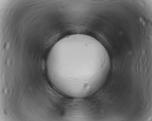 X0000102530077200808081102
