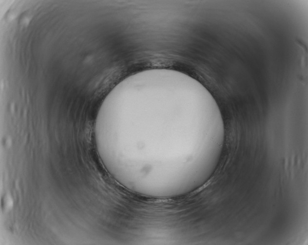 X0000102530078200808081102