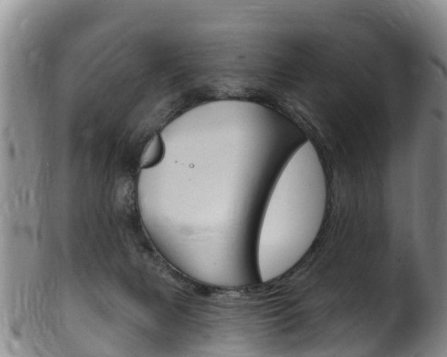 X0000102530079200808081102