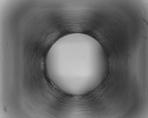 X0000102530080200808081102