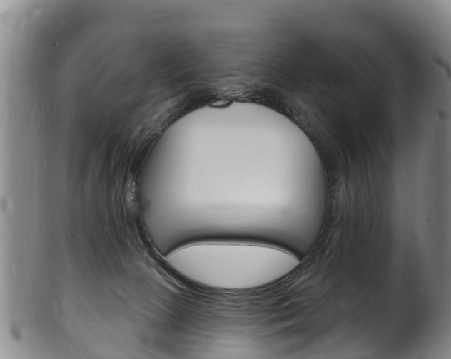 X0000102530081200808081103