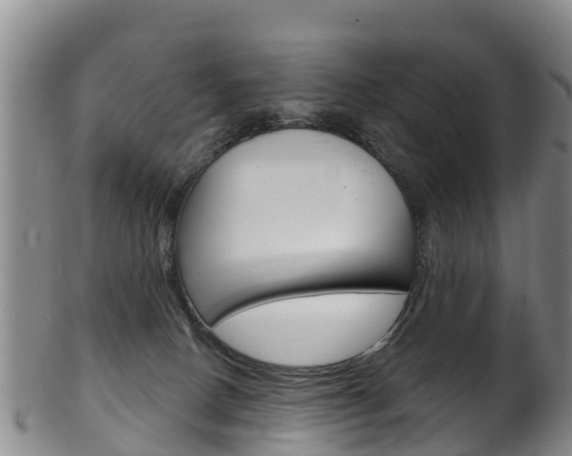 X0000102530082200808081103