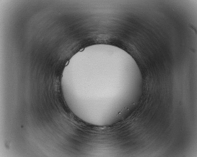 X0000102530083200808081103