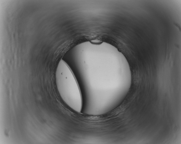 X0000102530085200808081103