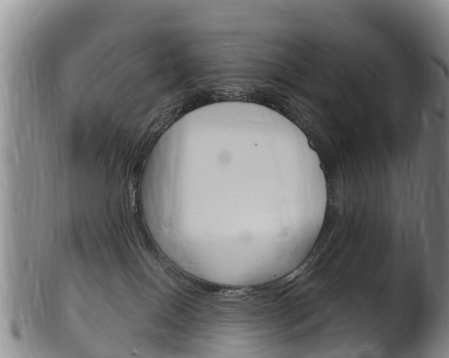 X0000102530086200808081103