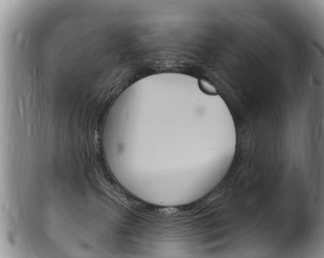 X0000102530087200808081103